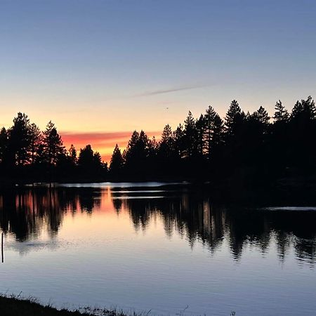 Snow Bunny Cottage, Pets Welcomed! Green Valley Lake Eksteriør bilde