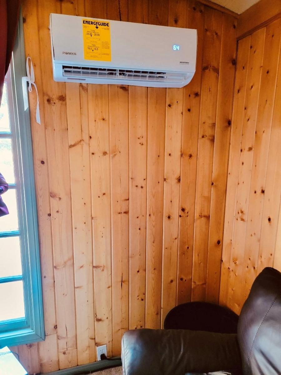 Snow Bunny Cottage, Pets Welcomed! Green Valley Lake Eksteriør bilde