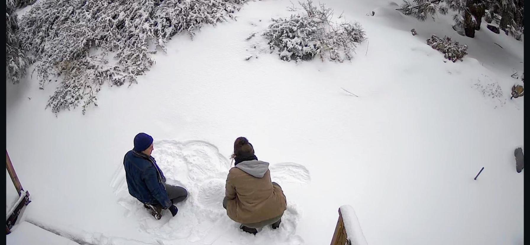 Snow Bunny Cottage, Pets Welcomed! Green Valley Lake Eksteriør bilde