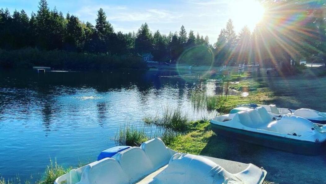 Snow Bunny Cottage, Pets Welcomed! Green Valley Lake Eksteriør bilde