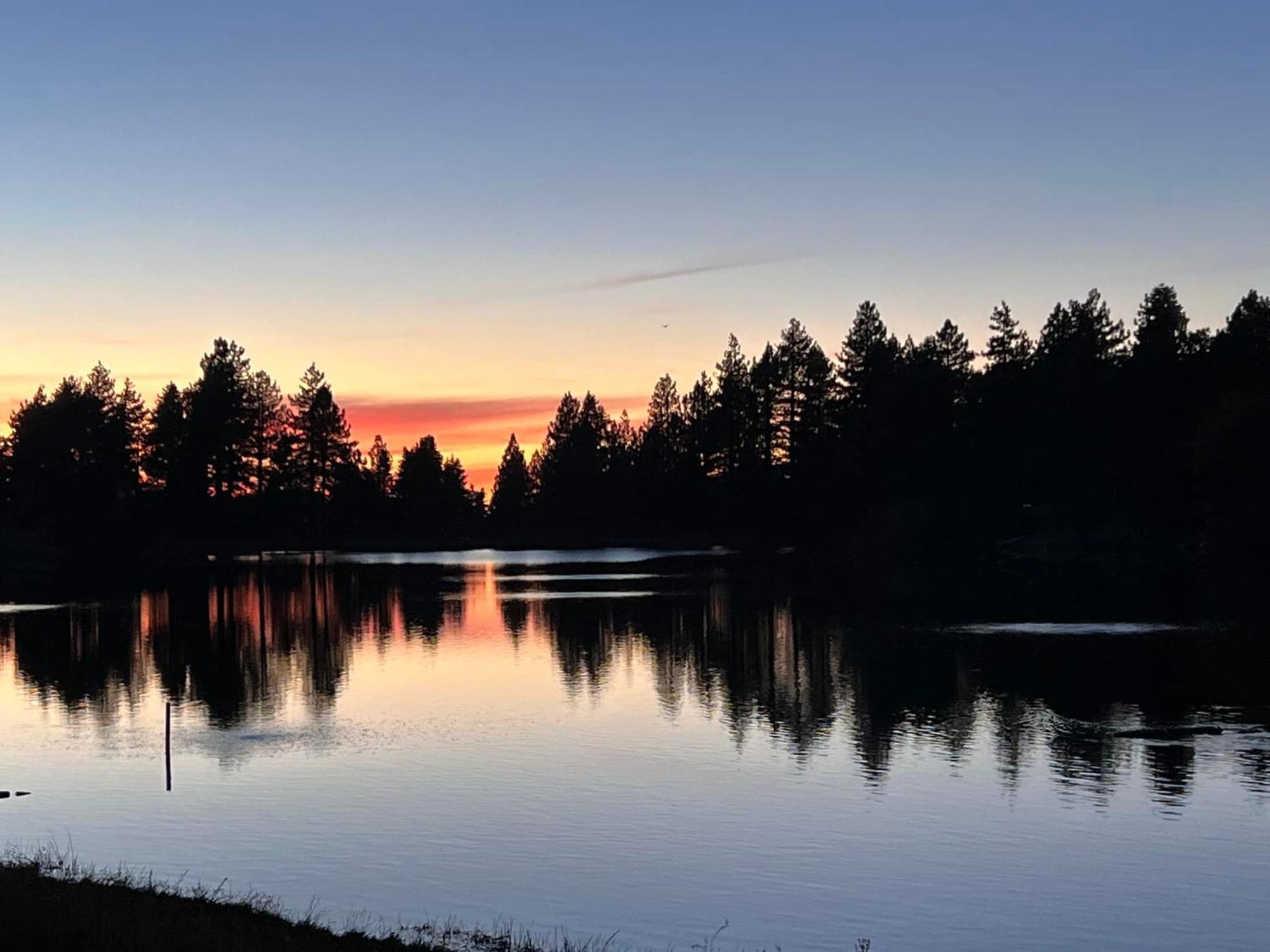 Snow Bunny Cottage, Pets Welcomed! Green Valley Lake Eksteriør bilde