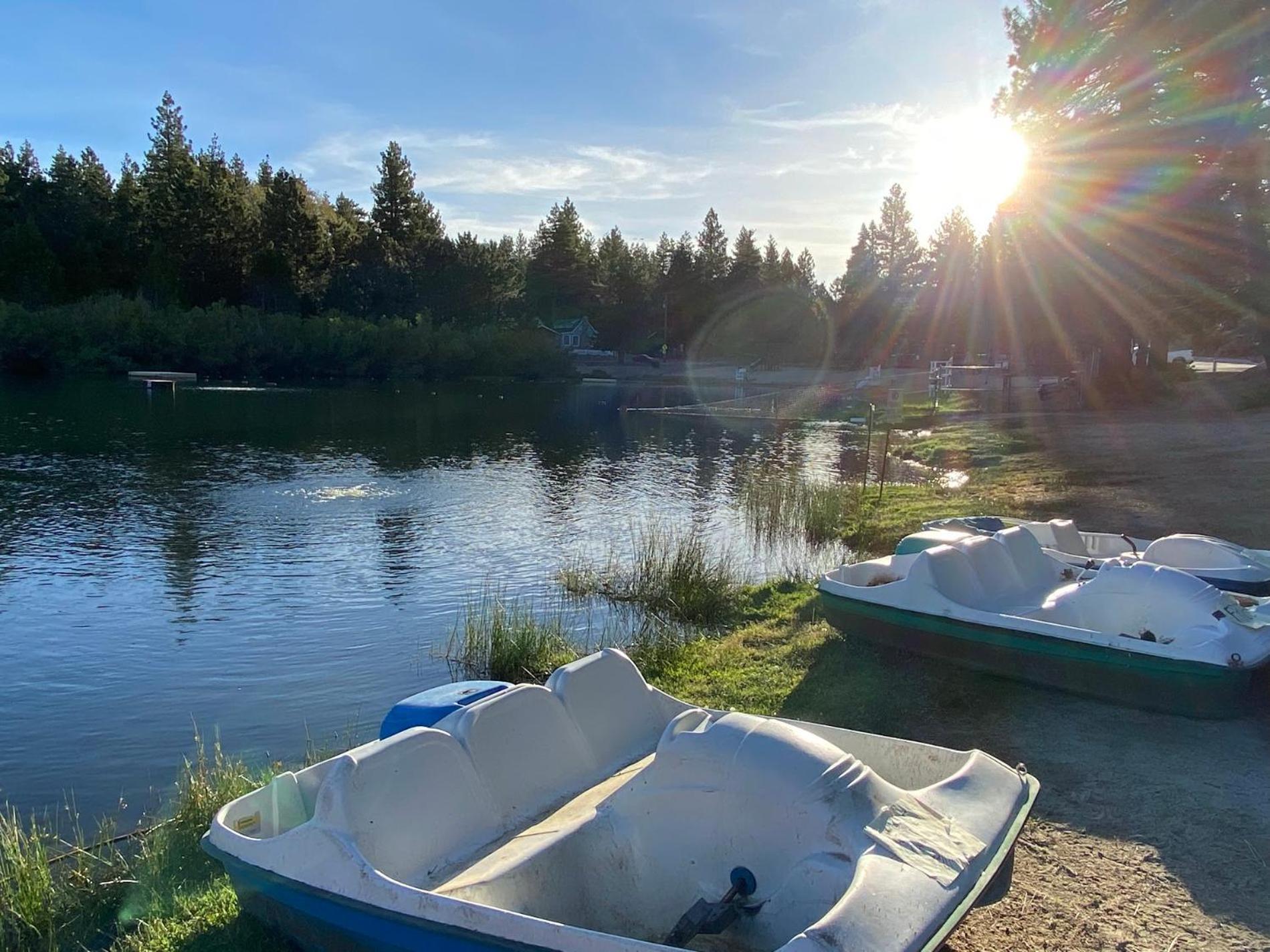 Snow Bunny Cottage, Pets Welcomed! Green Valley Lake Eksteriør bilde
